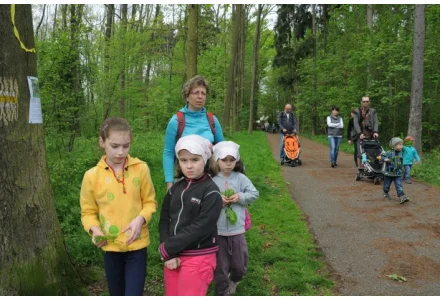 Pohádkový les dne 27.4.2014