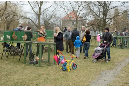 Kunratické vítání jara