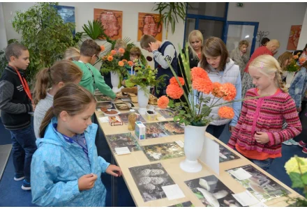 Výstava hub a jiřinek 6. a 7. září 2015