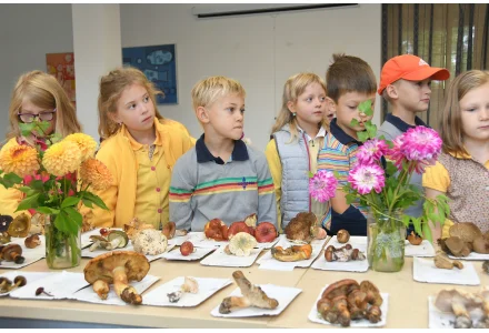 TRADIČNÍ VÝSTAVA HUB A JIŘINEK TRADIČNÍ VÝSTAVA HUB A JIŘINEK