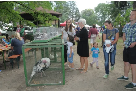 BABÍ LÉTO BABÍ LÉTO