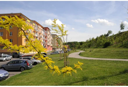Rybník Šeberák 2014 Rybník Šeberák 2014